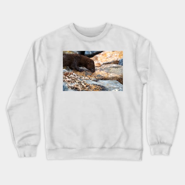 Tracking Breakfast Crewneck Sweatshirt by gdb2